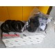 PARAOLIO SEMIASSE DESTRO E SINISTRO FORD FOCUS 2016 ORIGINALE 